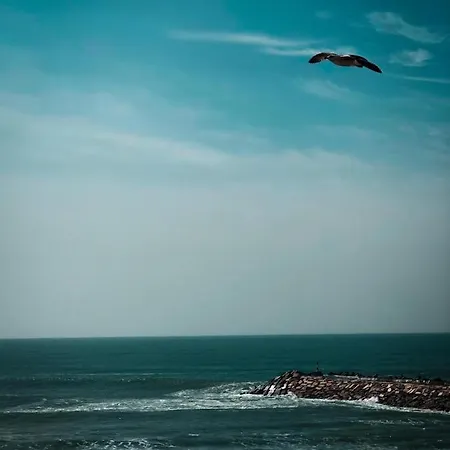 Terra Da Eira Lantställe Mafra